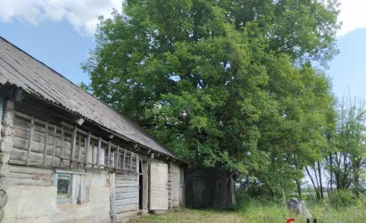 1-этаж.(42 м2), Вышедки(У)