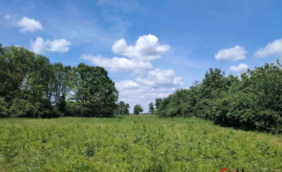 Купить дом, Проскурни, Школьная, 13, 25 соток. Фото 6