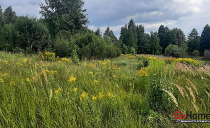 Купить участок, Винорово, Лесная ул., 29, 22 соток. Фото 13