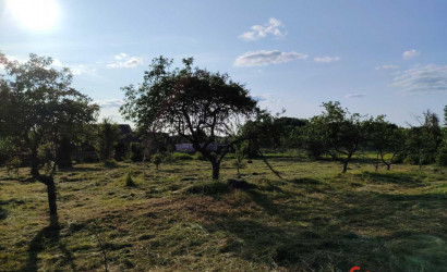 Купить дом, Чемери 1, 50 соток. Фото 6