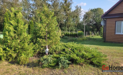 Купить коттедж, Свериново, 25 соток. Фото 38