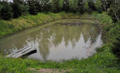 Купить дом, Протасовщина, Лесная 18, 80 соток. Фото 2