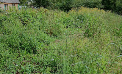 Купить дачу, Краево, 10.5 соток. Фото 13