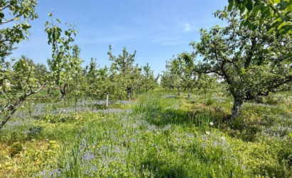 Купить дом, Варковичи, Братьев Басалыга ул., 24.98 соток. Фото 6