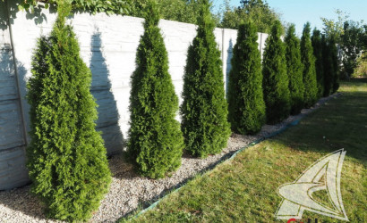 Купить дом, Старое Село, Озятский с/с, 23.62 соток. Фото 21