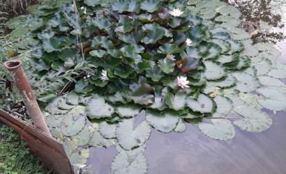 Купить дом, Придвинье, Садовая, 8 соток. Фото 7