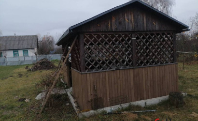 Купить дачу, Мозырь, Пеньки, 14 соток. Фото 8