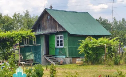  1-этаж.(32.2 м2), Грабовка(СТ «Зелёный Луг-2»)