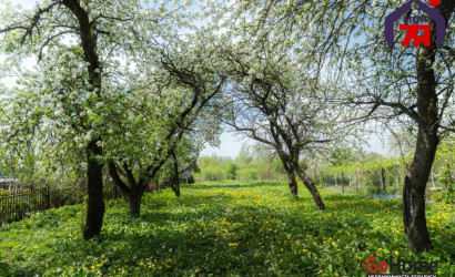 Купить дом, Озеро, Центральная ул., 27.7 соток. Фото 5