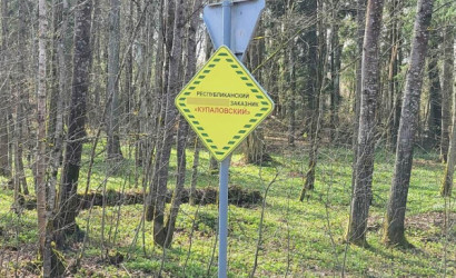 Купить дом в деревне, ЧАРОВНИЦА, 6.95 соток. Фото 10