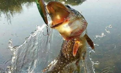 Купить 2-комнатную квартиру, Пинск, улица Брестская, 112. Фото 16