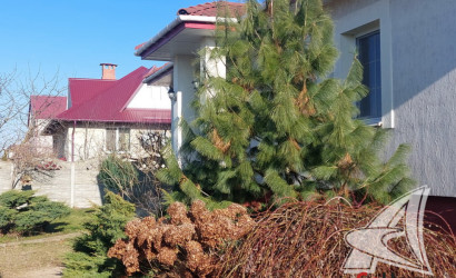 Купить дом, Тельмы-2, Тельминский с/с, 9.93 соток. Фото 28