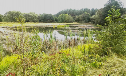 Купить участок, Приселки, Центральная, 9, 16.66 соток. Фото 19