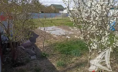  Брест(Плоска)