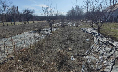 Купить дом, Солоное, Садовая, 37, 12.5 соток. Фото 10