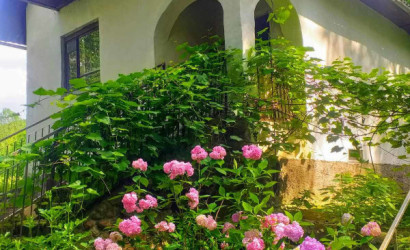 Купить дом, Богатыревичи, 22.7 соток. Фото 9