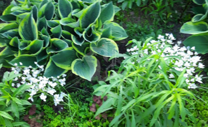 Купить дом, Петришки, 18 соток. Фото 27