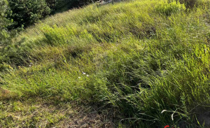 Купить участок, Подигрушье, 6.7 соток. Фото 4