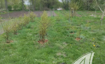 Купить дом, Шпитали, Степанковский с/с, 25 соток. Фото 17