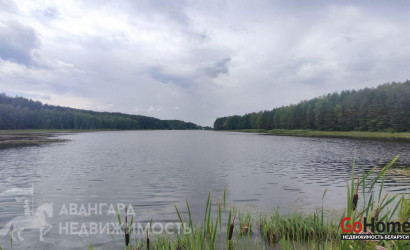 Купить дом в деревне, Лесное-Белмедпрепараты, 5.2 соток. Фото 7