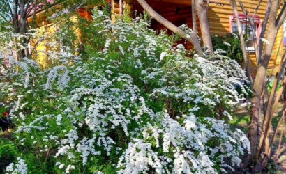 Купить дом, Подъельники, Центральная ул., 22.65 соток. Фото 17