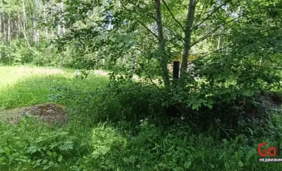  Олехновичи(15)