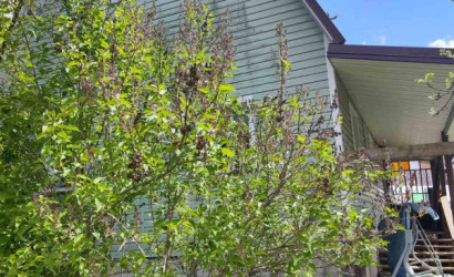 Купить дом в деревне, Подсадье, 6.59 соток. Фото 3