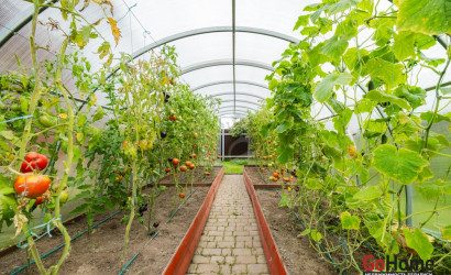 Купить дом, ВЕРЯГИ, 10 соток. Фото 27