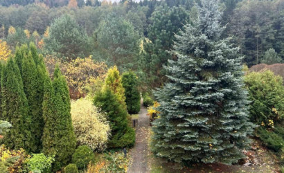 Купить коттедж, Багута, Центральная ул., 89 соток. Фото 43