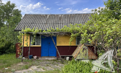 Купить дом в деревне, Леплевка, Домачевский с/с, 17.74 соток. Фото 6