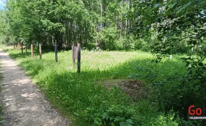  Олехновичи