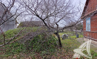 Купить участок, Брест, Речица, 15 соток. Фото 6