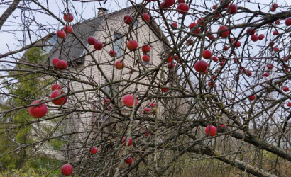 Купить дом, Придвинье, Полевая, 71, 16 соток. Фото 17