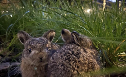 Купить 2-комнатную квартиру, Копище, Михаила Миля ул., 2. Фото 20