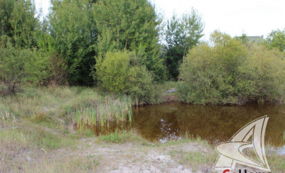 Купить участок, Брест, Бернады, 38.78 соток. Фото 4