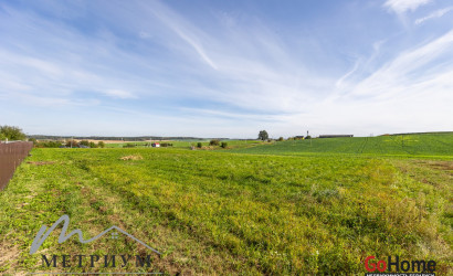 Купить участок, Сосновая, 25 соток. Фото 9