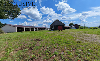 Продажа склада, Большая Волохва,  1712 кв.м.. Фото 5