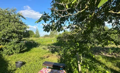  1-этаж.(75.2 м2), Ветка(64)