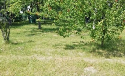 Купить дом, Борки, ул.Центральная д.31, 25 соток. Фото 3