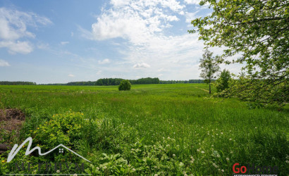 Купить дом, Борок, Центральная ул., 25 соток. Фото 22