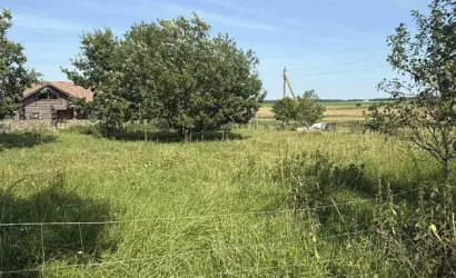  50.4 м2, Новицкие