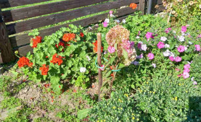 Купить дом в деревне, Кокощицы, 73, 40 соток. Фото 4