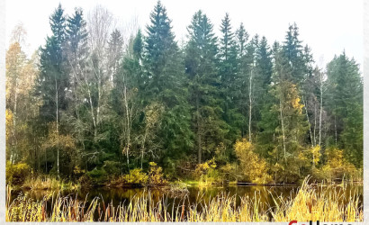 Купить дом, Кучкуны, Заславская, 31, 25 соток. Фото 4