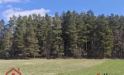 Купить участок, Вяча, Лесная, 20.07 соток. Фото 12