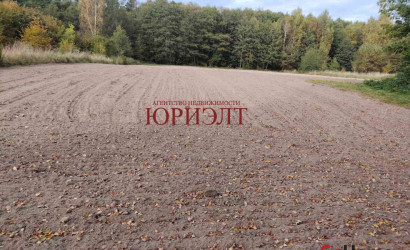 Купить участок, Головенчицы, 30.65 соток. Фото 1
