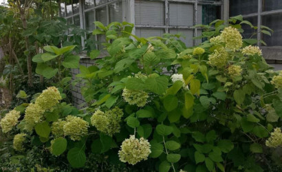 Купить дом в деревне, Сосны-Сад, 4.1 соток. Фото 4