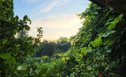 Купить дом, Газ-Магистраль, 5 соток. Фото 25