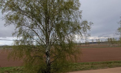 Купить дом, Декшняны, 25 соток. Фото 5