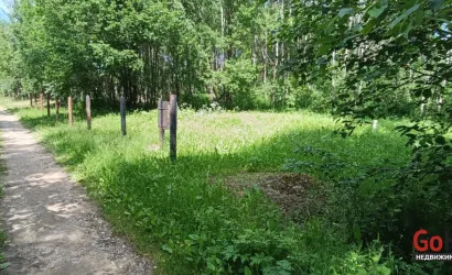  Олехновичи(15)