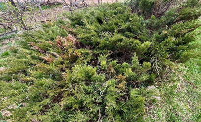 Купить дачу, Семушки, 4.56 соток. Фото 16